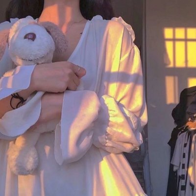 蝙蝠侠与小丑女
